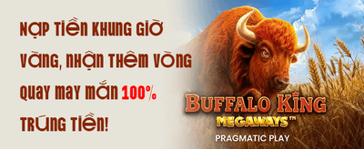 Đặc Quyền VIP 66 promotion